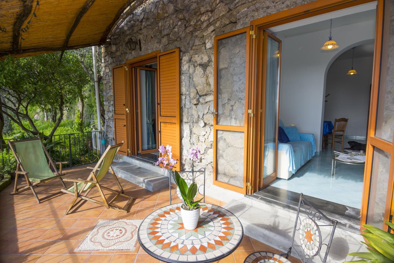 Le Nereidi B&B Ποζιτάνο Εξωτερικό φωτογραφία